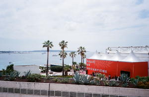 Réparation dégât des eaux Cannes